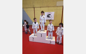 5ccf26e8aa065_JudobruguierepodiumTometAgathe.jpg